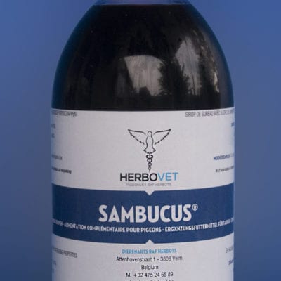 Herbovet Sambucus