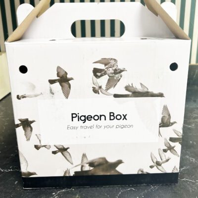 Single Pigeon Transport Box